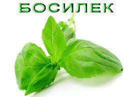 Методи за отслабване Босилек