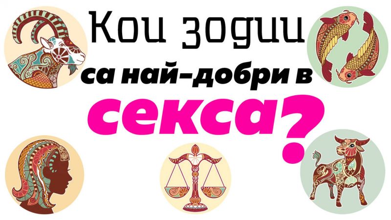 ����� ����� ���� �������
