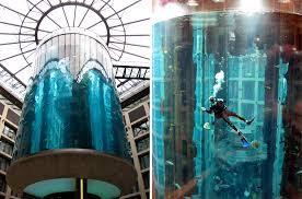 Àñàíñüîðúò AquaDom Elevator, Áåðëèí